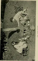An illustration from Children and gardens (1908)