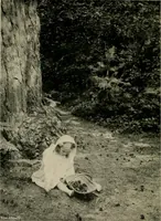 An illustration from Children and gardens (1908)