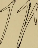 An illustration from Children and gardens (1908)