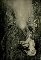 An illustration from Children and gardens (1908)