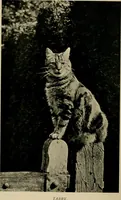 An illustration from Children and gardens (1908)