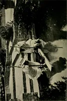 An illustration from Children and gardens (1908)