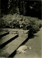 Picture 85 of 96 from Children and gardens (1908), leaf 189