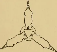 An illustration from Children and gardens (1908)
