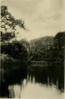 An illustration from Children and gardens (1908)
