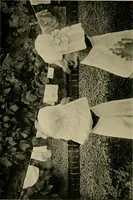 An illustration from Children and gardens (1908)
