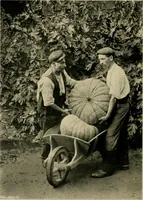 An illustration from Children and gardens (1908)