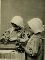 An illustration from Children and gardens (1908)