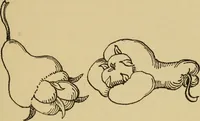 An illustration from Children and gardens (1908)