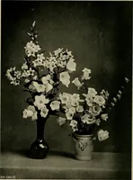 An illustration from Children and gardens (1908)