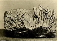 An illustration from Children's books and their illustrators (1897)