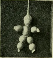 Picture 24 of 66 from Children's occupations (1920), leaf 120