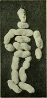 Picture 26 of 66 from Children's occupations (1920), leaf 120