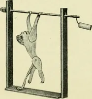 An illustration from Children's occupations (1920)