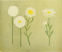 An illustration from Children's occupations (1920)