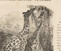 Picture 3 of 14 from The child's picture scrap book : containing upwards of four hundred illustrations (1865), leaf 23