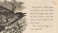Picture 11 of 14 from The child's picture scrap book : containing upwards of four hundred illustrations (1865), leaf 77