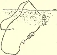 An illustration from The child's rainy day book (1905)