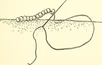 An illustration from The child's rainy day book (1905)