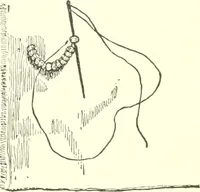 An illustration from The child's rainy day book (1905)