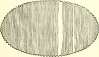 An illustration from The child's rainy day book (1905)
