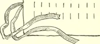 An illustration from The child's rainy day book (1905)