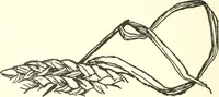 An illustration from The child's rainy day book (1905)