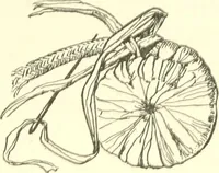 Picture 67 of 90 from The child's rainy day book (1905), leaf 192