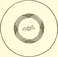 An illustration from The child's rainy day book (1905)