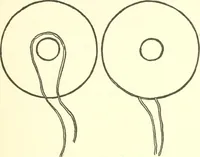 An illustration from The child's rainy day book (1905)