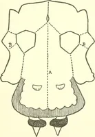 Picture 73 of 90 from The child's rainy day book (1905), leaf 210