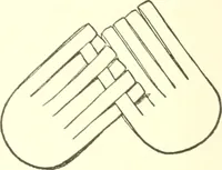 An illustration from The child's rainy day book (1905)