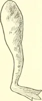 An illustration from The child's rainy day book (1905)