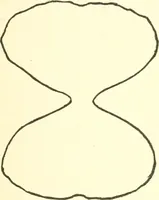Picture 86 of 90 from The child's rainy day book (1905), leaf 224