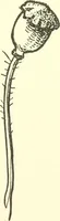 An illustration from The child's rainy day book (1905)