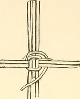An illustration from The child's rainy day book (1905)