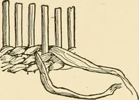 An illustration from The child's rainy day book (1905)