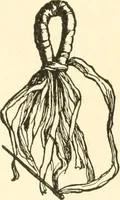 An illustration from The child's rainy day book (1905)