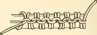 An illustration from The child's rainy day book (1905)