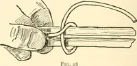 An illustration from The child's rainy day book (1905)