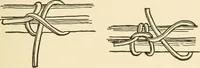An illustration from The child's rainy day book (1905)