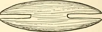 An illustration from The child's rainy day book (1905)