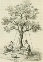 An illustration from China, its costume, arts, manufactures, &c. : edited principally from the originals in the cabinet of the late M. Bertin, with observations explanatory, historical, and literary (1812)