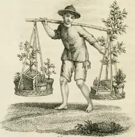 An illustration from China, its costume, arts, manufactures, &c. : edited principally from the originals in the cabinet of the late M. Bertin, with observations explanatory, historical, and literary (1812)