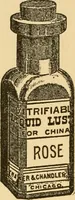 An illustration from china painter instruction book, The (1914)