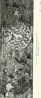 Picture 12 of 98 from Chinese art (1905), leaf 56