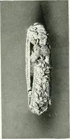 Picture 104 of 133 from Chinese art (1905), leaf 304