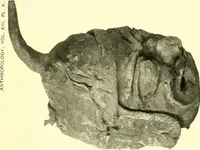 Picture 59 of 163 from Chinese clay figures (1914), leaf 260