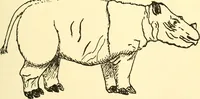 An illustration from Chinese clay figures (1914)