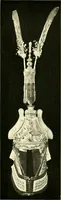 Picture 105 of 163 from Chinese clay figures (1914), leaf 370